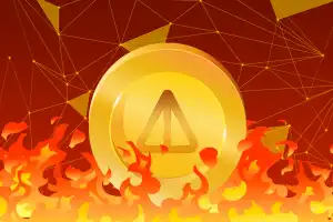 Разработчики Notcoin сожгли 210 млн токенов NOT на 3 млн долларов