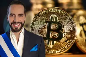 Bitinfocharts: El Salvador continued daily bitcoin buying amid crypto market slump