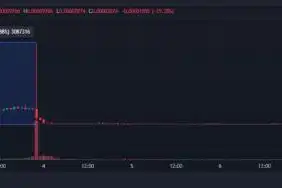 Khamzat Chimaev was accused of insider trading in cryptocurrency