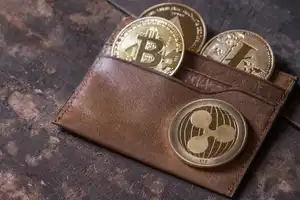 The US has created a cryptocurrency wallet embedded under the skin
