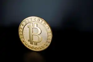 An ETF based on the Shuba Inu cryptocurrency may appear on the market