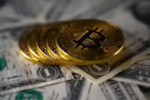 The State Duma Committee approved the bill on test settlements in cryptocurrency