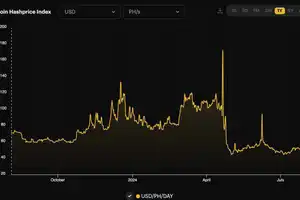 The income indicator for miners has reached a minimum